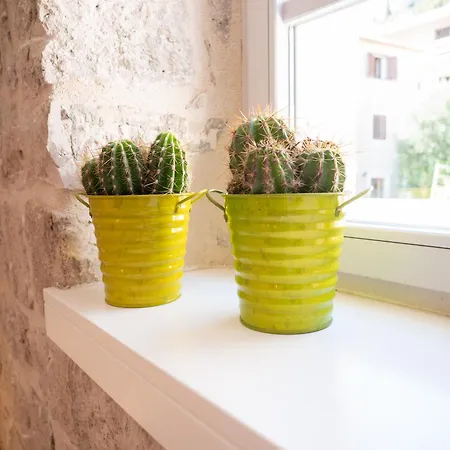 Vakantiehuis Dolce *